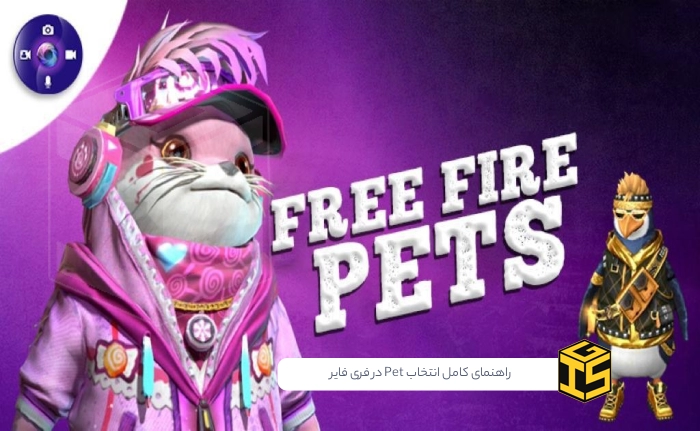 راهنمای کامل انتخاب Pet در فری فایر: بهترین Pet فری فایر چیست؟